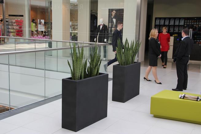 Aranżacje galerii handlowych z zieloną oazą w tle